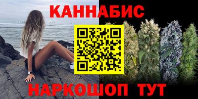 гашик Лесосибирск