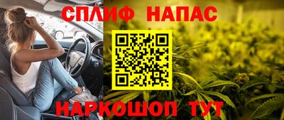 прущие грибы Ликино-Дулёво
