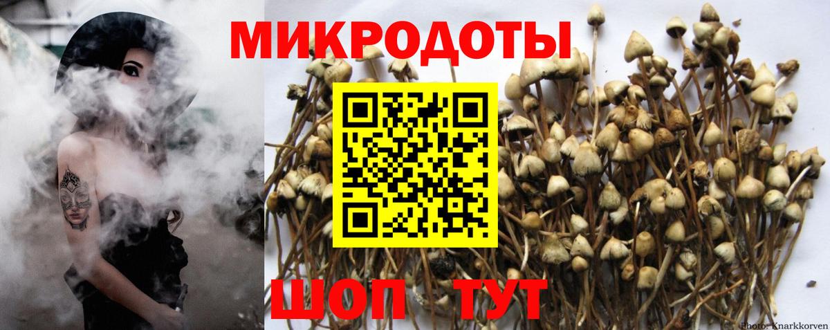 Псилоцибиновые грибы Magic Shrooms  Вход с VPN  Добрянка  Галлюциногенные грибы ЛСД 